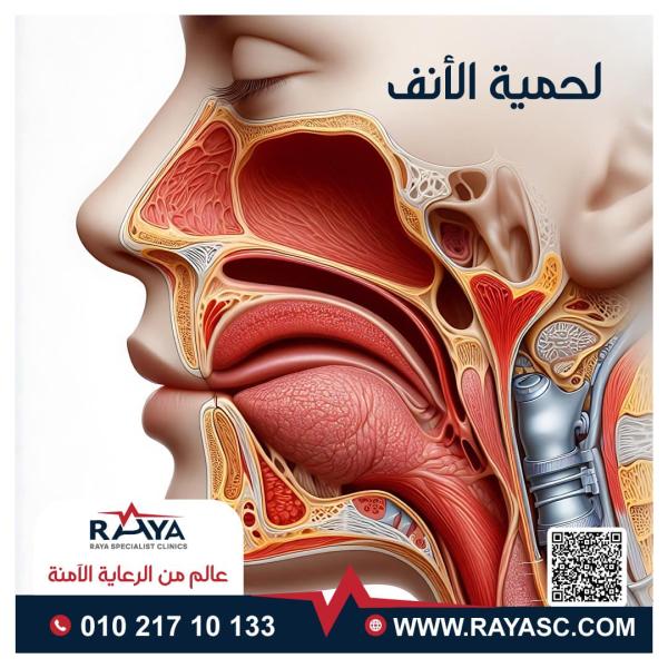 انف واذن وحنجرة