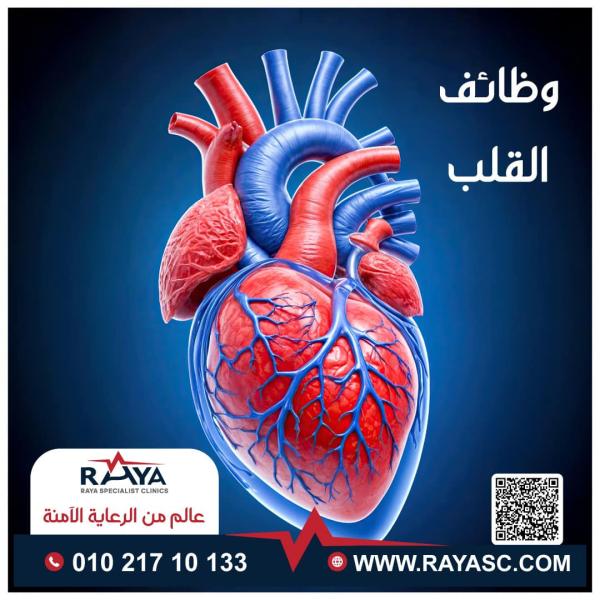 قلب
