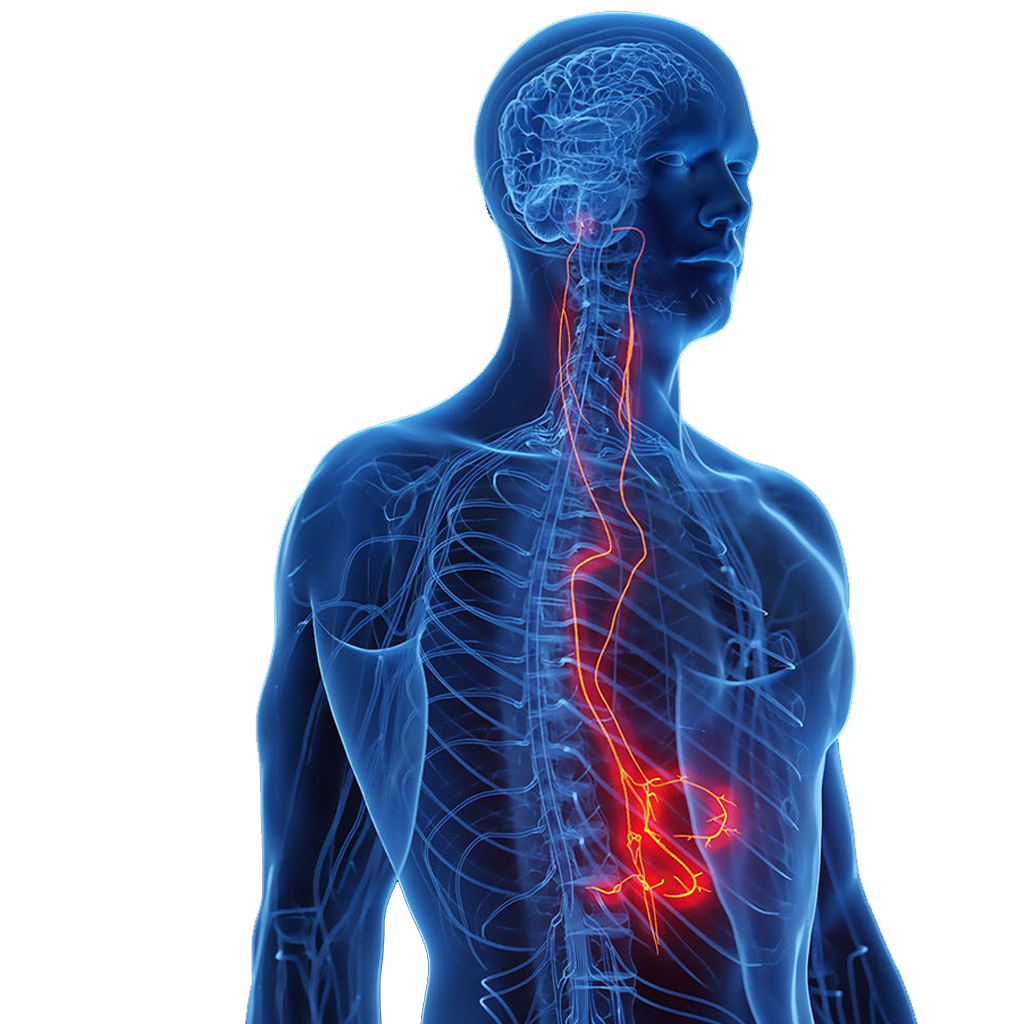 Neurosurgery Clinics